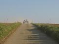 3de Follow the leader-Herfstrit- (161)